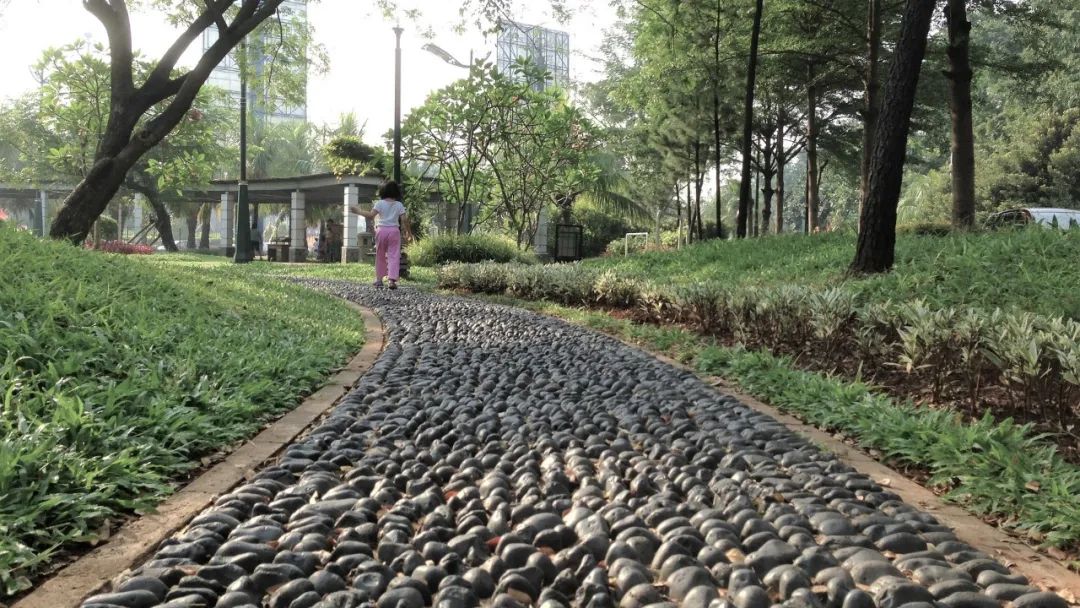 北大教授雷人言论,北大教授有哪些奇葩言论