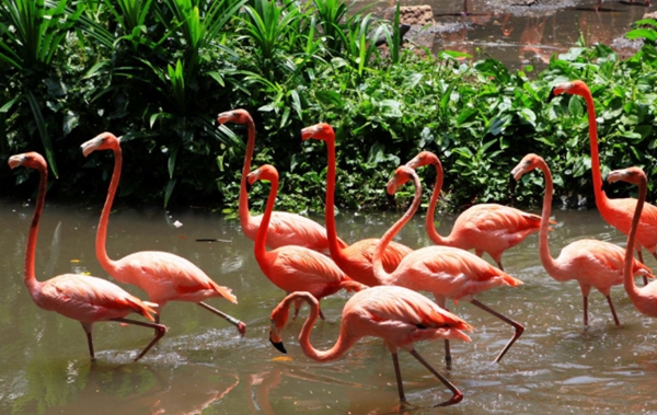 新加坡十大最佳景点,新加坡必玩十大景点