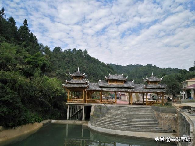 那一声声画眉啼脆惹人醉