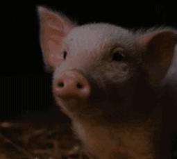 美宝莲限定口红,美宝莲新年口红