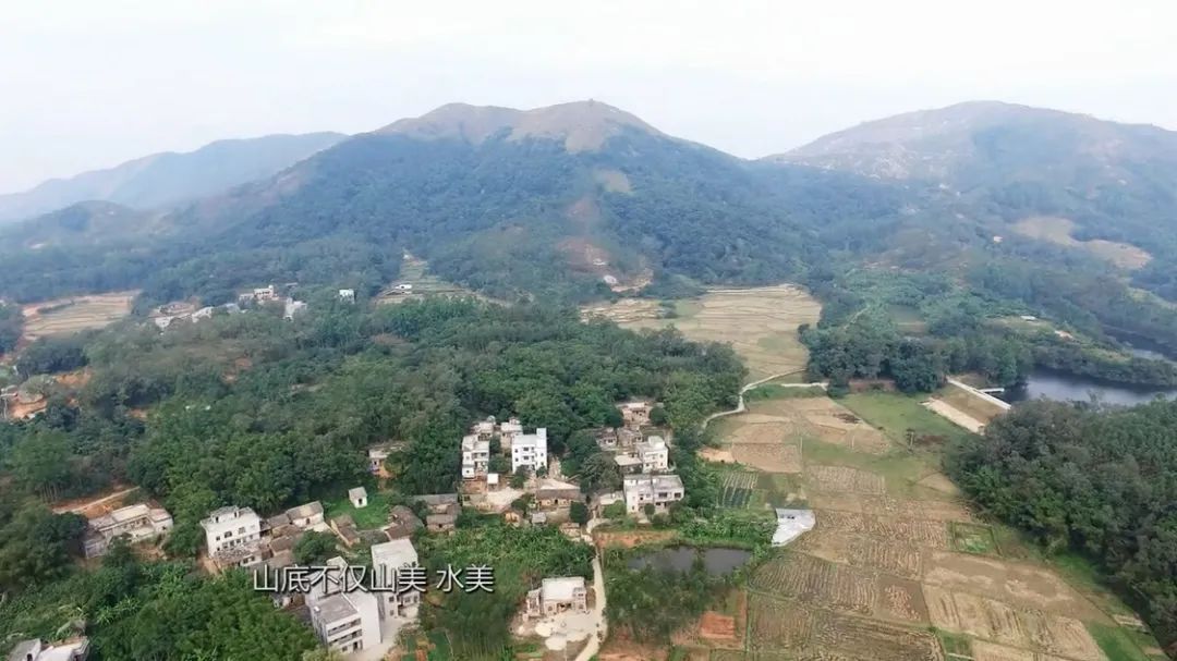 山底禾了社飞来之地的禾了节