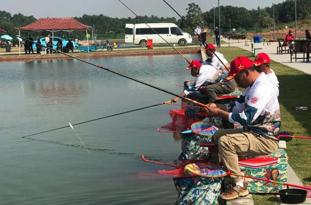 美人鱼战队王者之战夺冠,2019上海美人鱼冠军杯