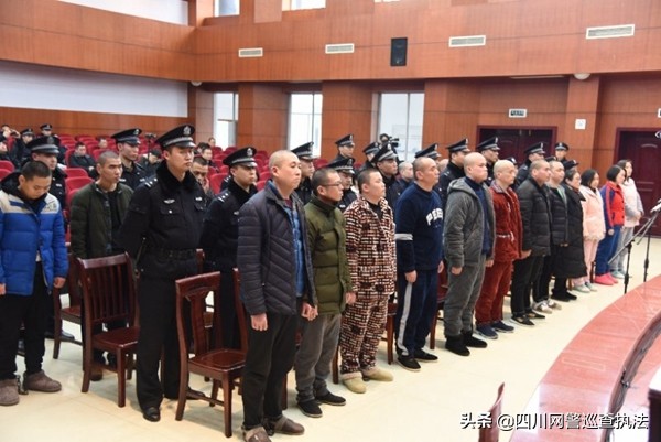 四川最近抓的电信诈骗案,四川近期判刑的诈骗案