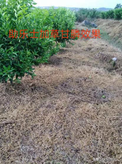 矿物油植物精油,有机硅助剂和精油区别