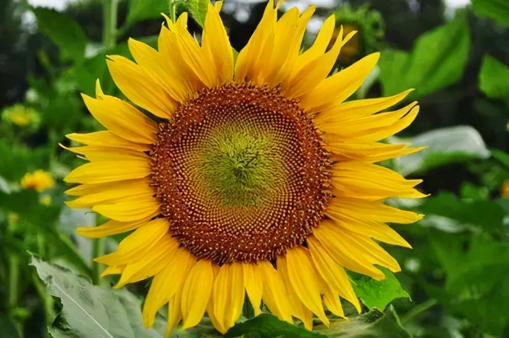 郑州出发黄河沿线自驾游最佳路线,郑州黄河自驾游攻略路线