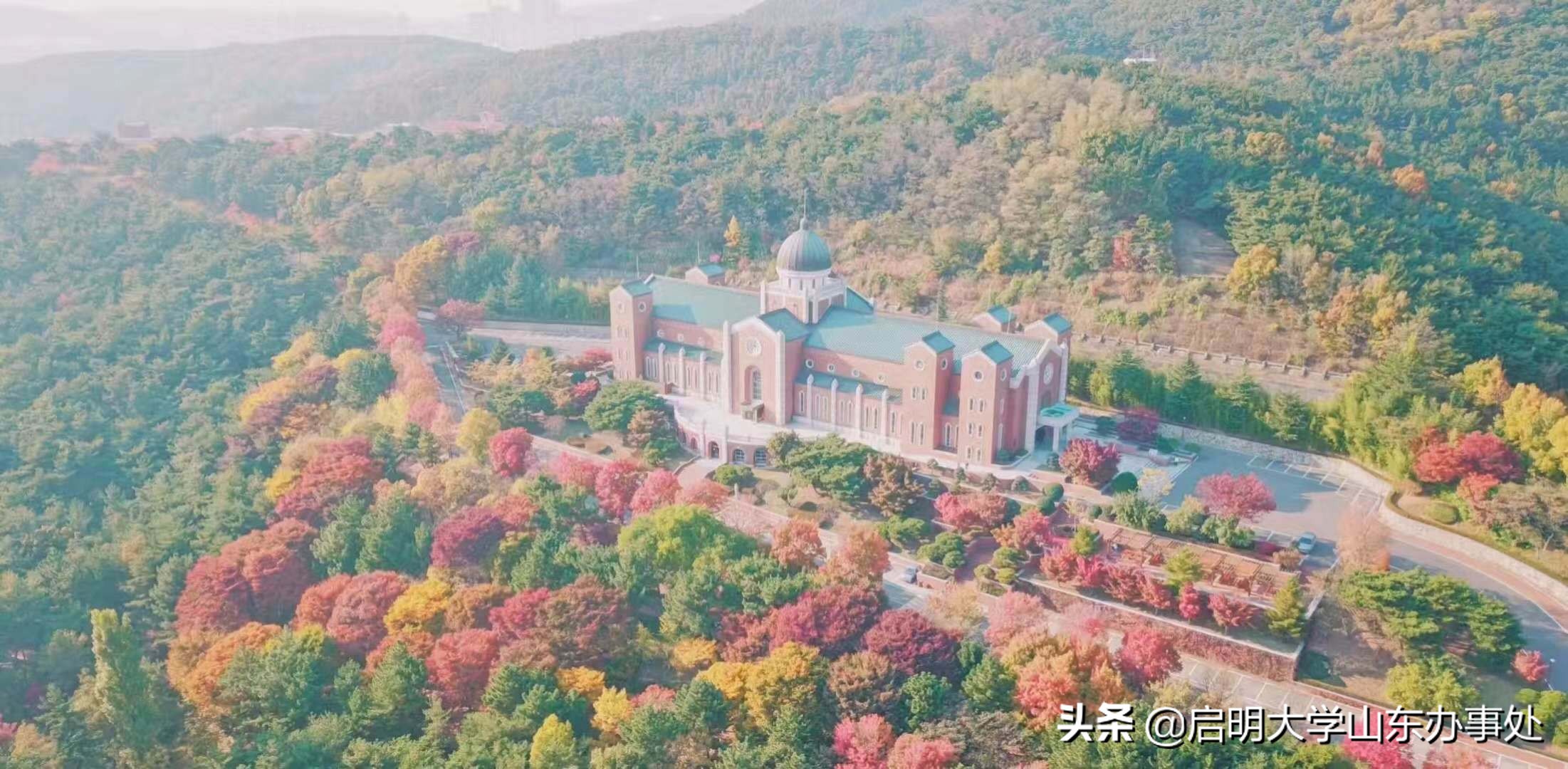 韩国启明大学语学院,韩国启明大学专业