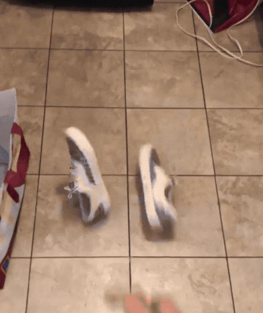 如何鉴定VANS鞋真伪,难道真的要扔一下试试?