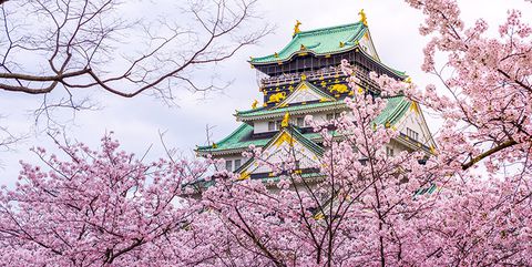 日本赏樱花著名景点是哪里,日本十大赏樱胜地排行榜
