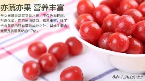 揭秘营销模式背后的阴谋,揭秘营销套路大骗局