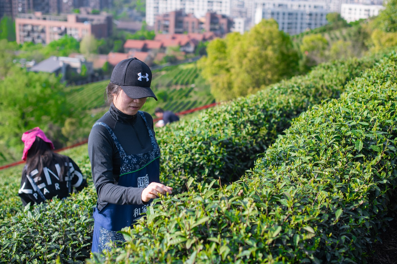 全市足球联赛燃战火,燃爆全球的赛事即将开赛