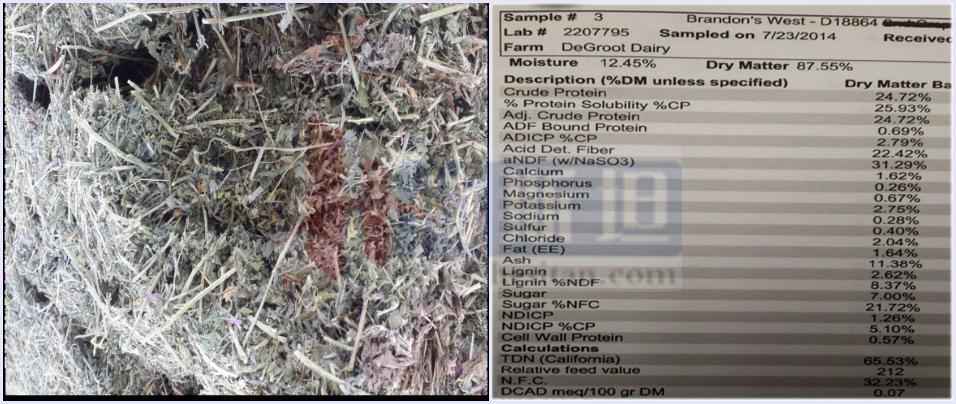 乐源牧业现有几个牧场,乐源牧业大名县牧场