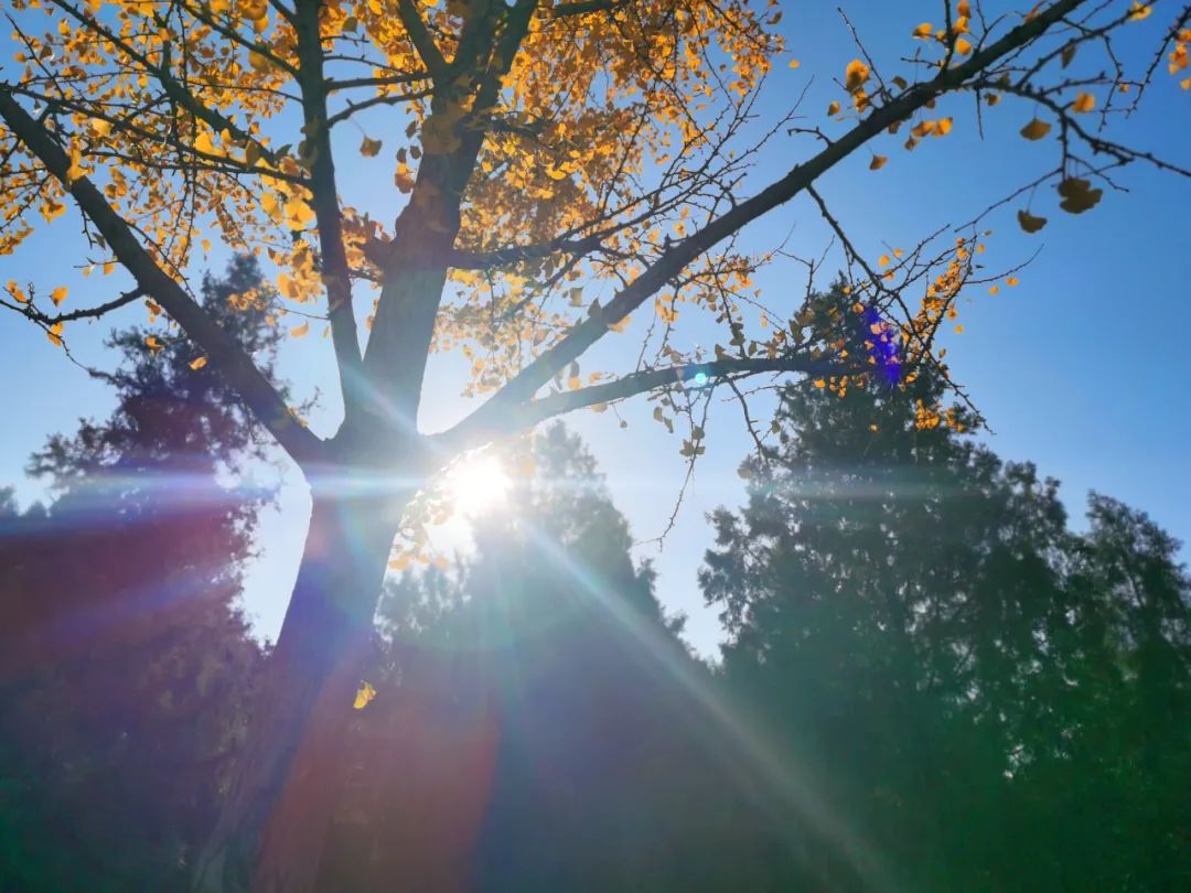 天坛和地坛区别,天坛对对碰桌游