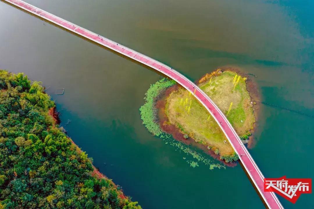 别人家的学校,天府七小和元音小学哪个好