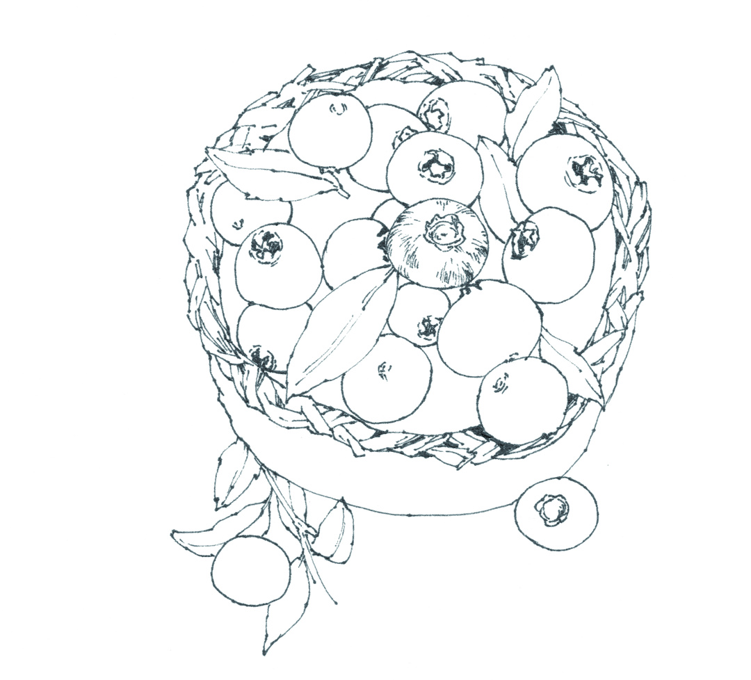 蓝莓味的章鱼小丸子,草莓章鱼小丸子口味