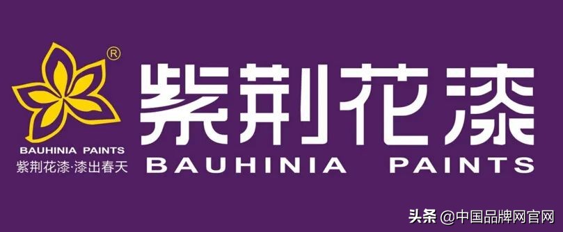 2022油漆十大品牌排名,十大品牌油漆排行榜最新