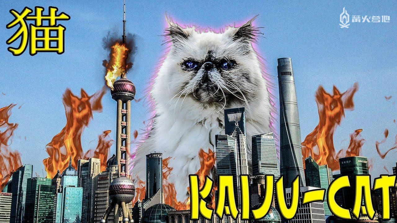 玩《马力欧卡丁车实况：家庭赛车场》前，你问过你家猫咪了吗？