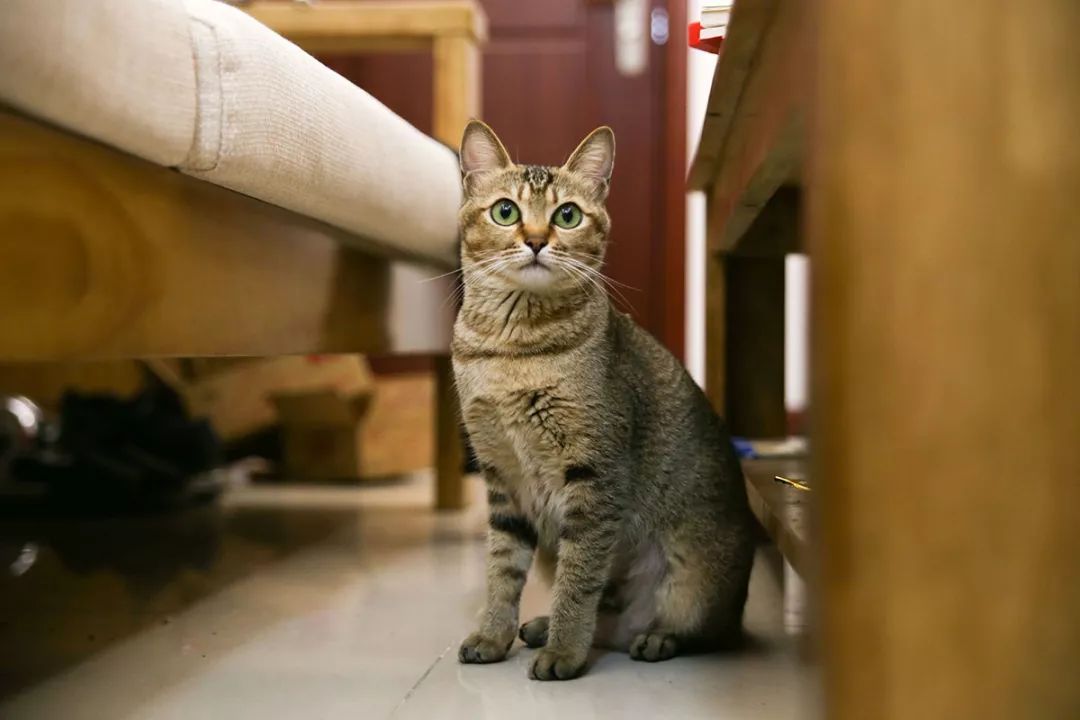 深圳富人日常生活真实记录,在深圳普通人最真实的生活状态