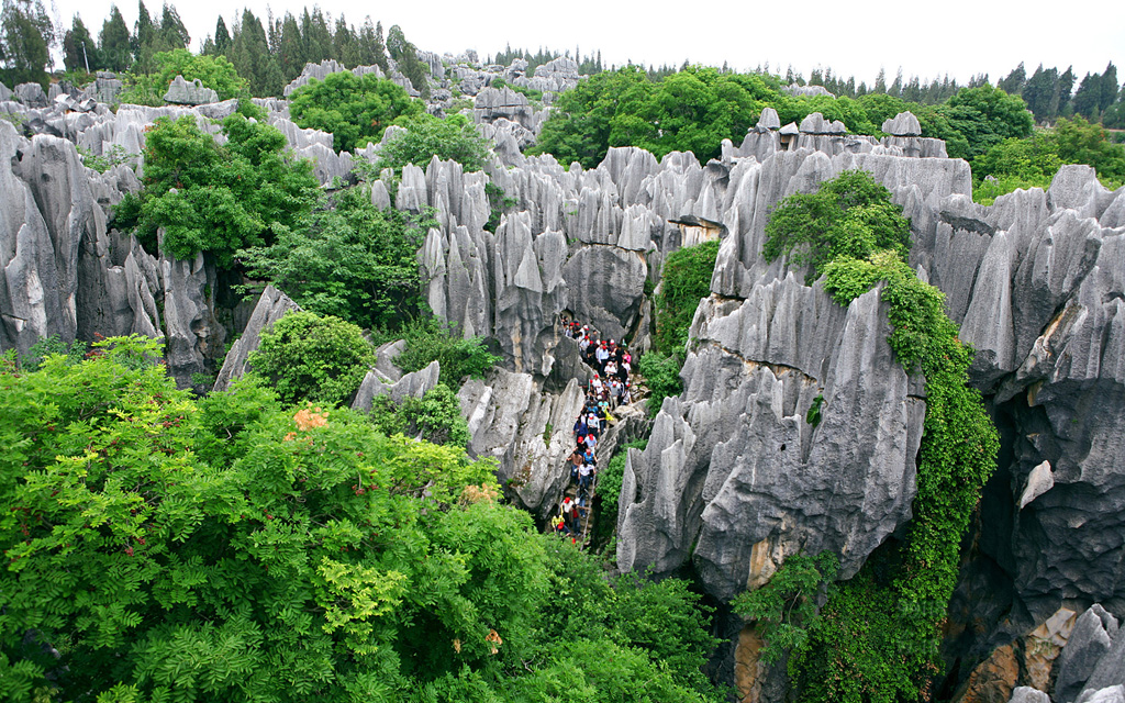 村林的风景图片,云南三林地质奇观图