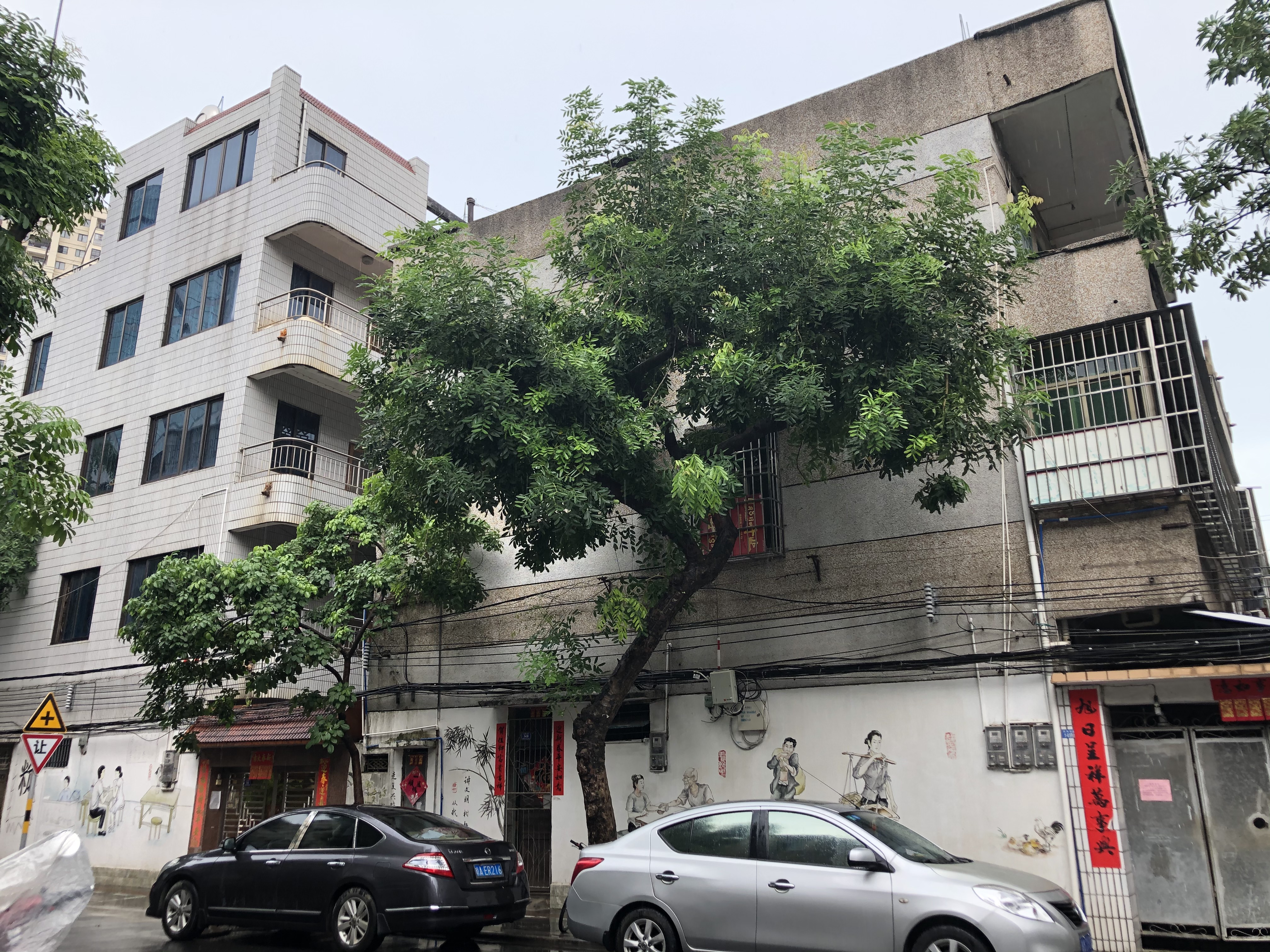 海口为什么容易出现内涝,海口小区内涝