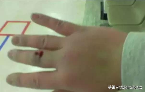 魟鱼活泼,魟鱼胆子小表现