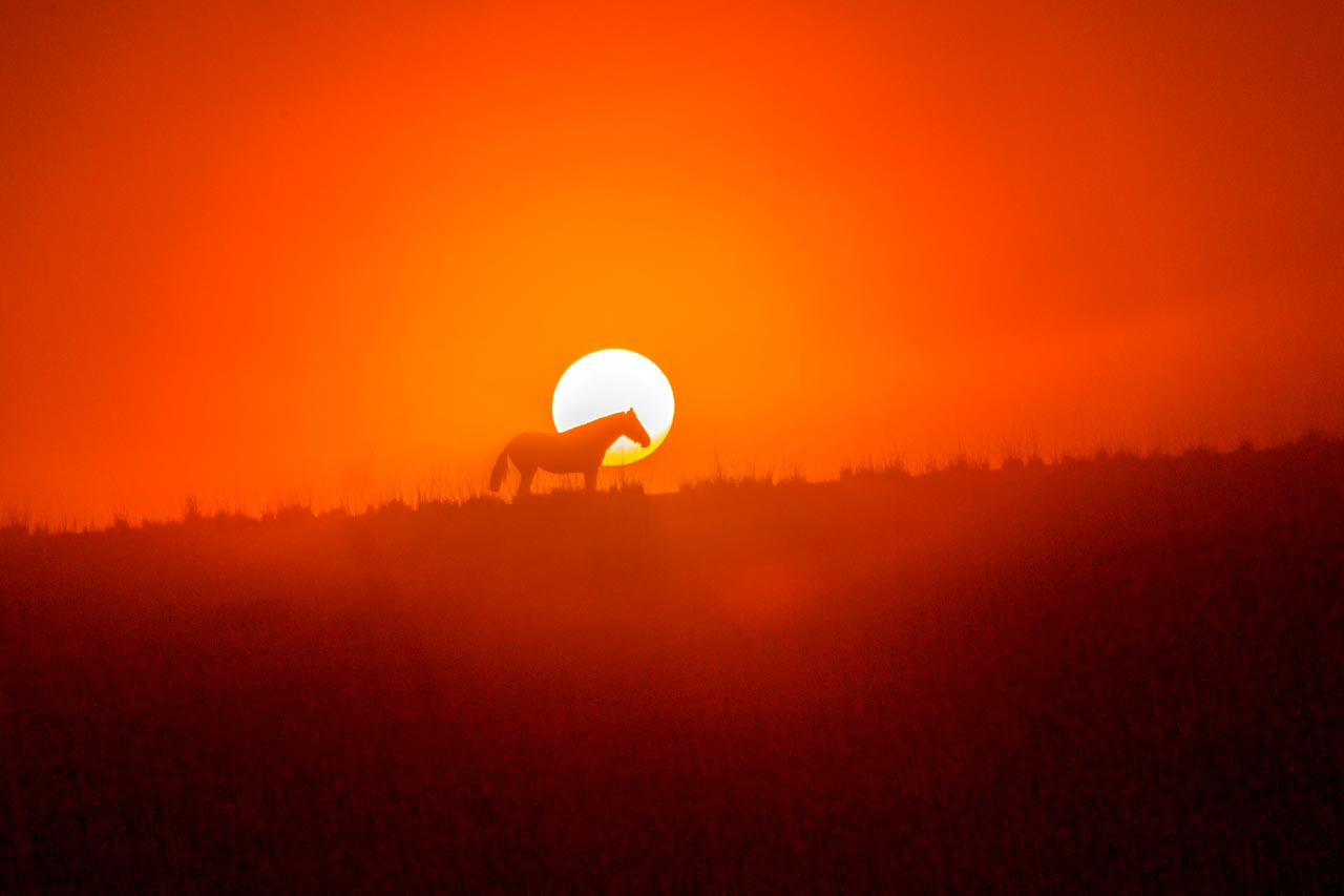 新疆旅行摄影攻略伊犁,伊犁草原摄影团