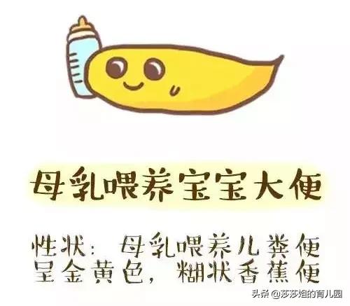 新生儿宝宝拉便便，你能看出暗藏的疾病信号吗？一看“便”知！