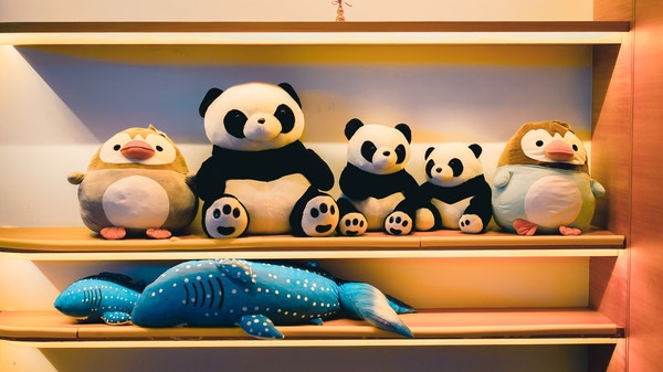 三亚jw万豪大东海晚餐,三亚jw万豪大东海