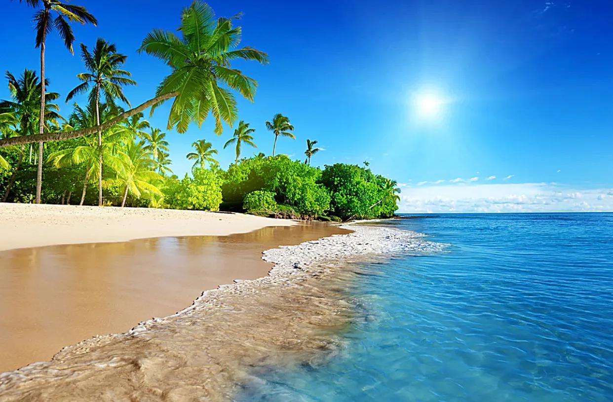 怎样识别中药巴戟天的优劣,中药巴戟天有哪些药理作用