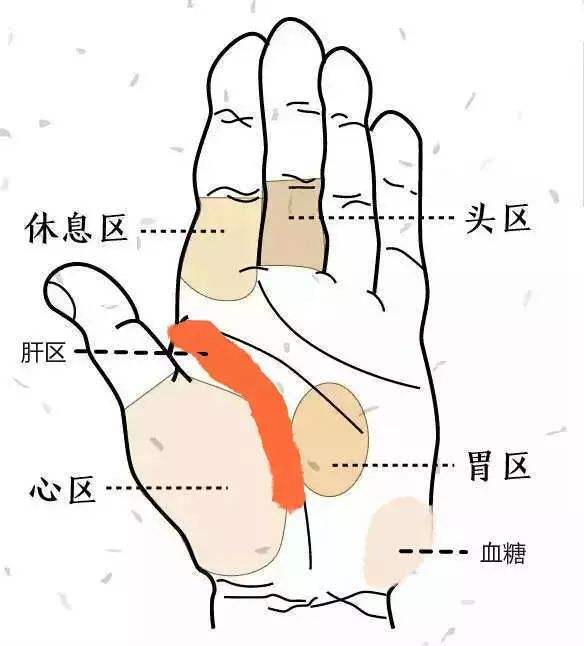 手掌中心有一点发黑什么原因,手掌里有部位发紫是怎么回事