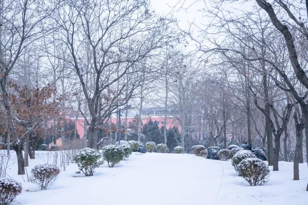 民办学校大连艺术学院全国排名,大连艺术学院辽宁排名