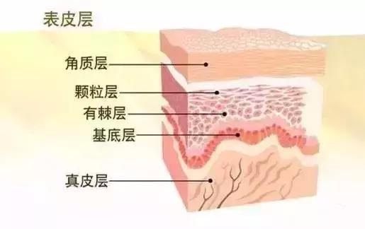 美雾眉,拉丝雾眉