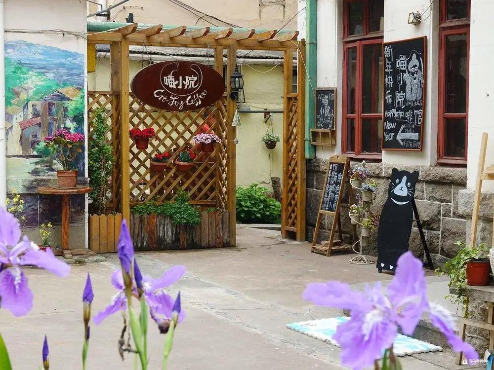 跟厦门一样浪漫的城市,厦门一个文艺又浪漫的城市