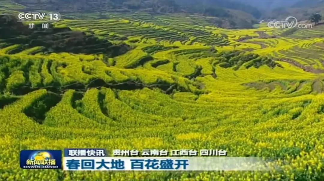 疫情防控取得阶段性胜利有序恢复,疫情胜利在望