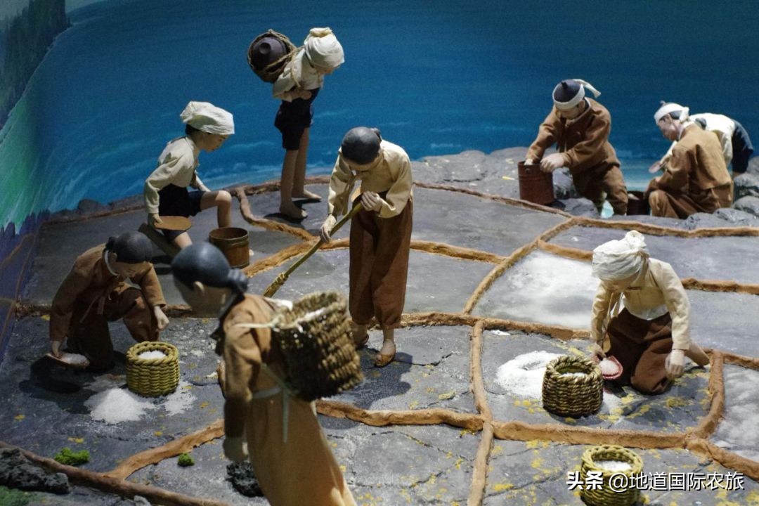 济州岛旅游胜地怎么开发,济州岛风光秀丽度假胜地