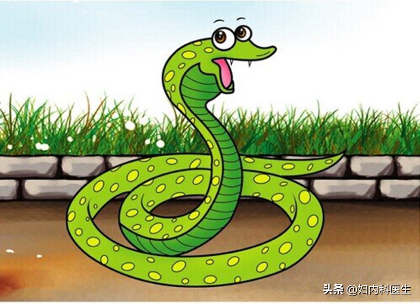 不幸被毒蛇咬伤应该要怎么办,被毒蛇咬伤如何自救