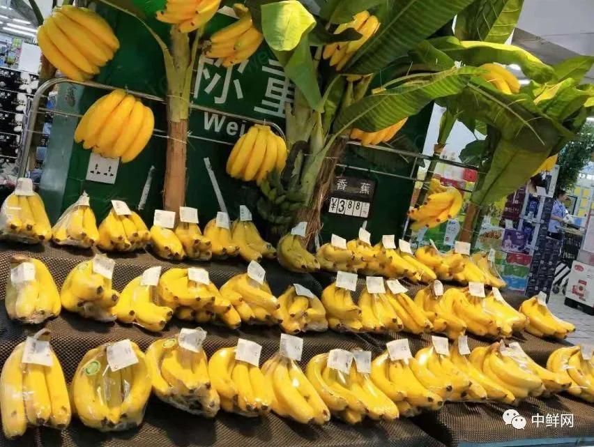 水果陈列技巧生鲜果蔬,水果陈列注重细节