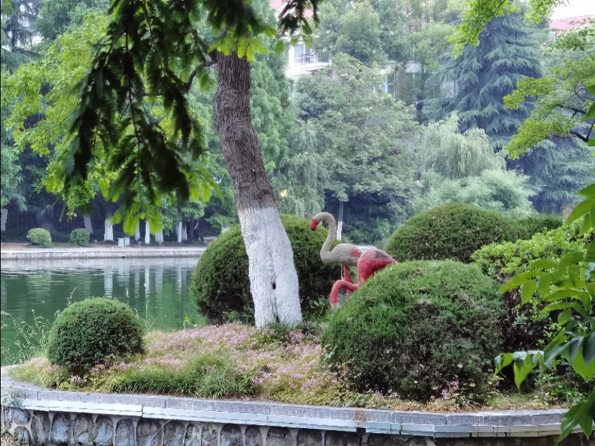 琥珀龙虾一条街价格,贵池路龙虾一条街