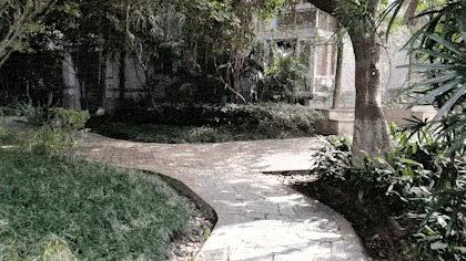 可以一搭四的稳定器就是它