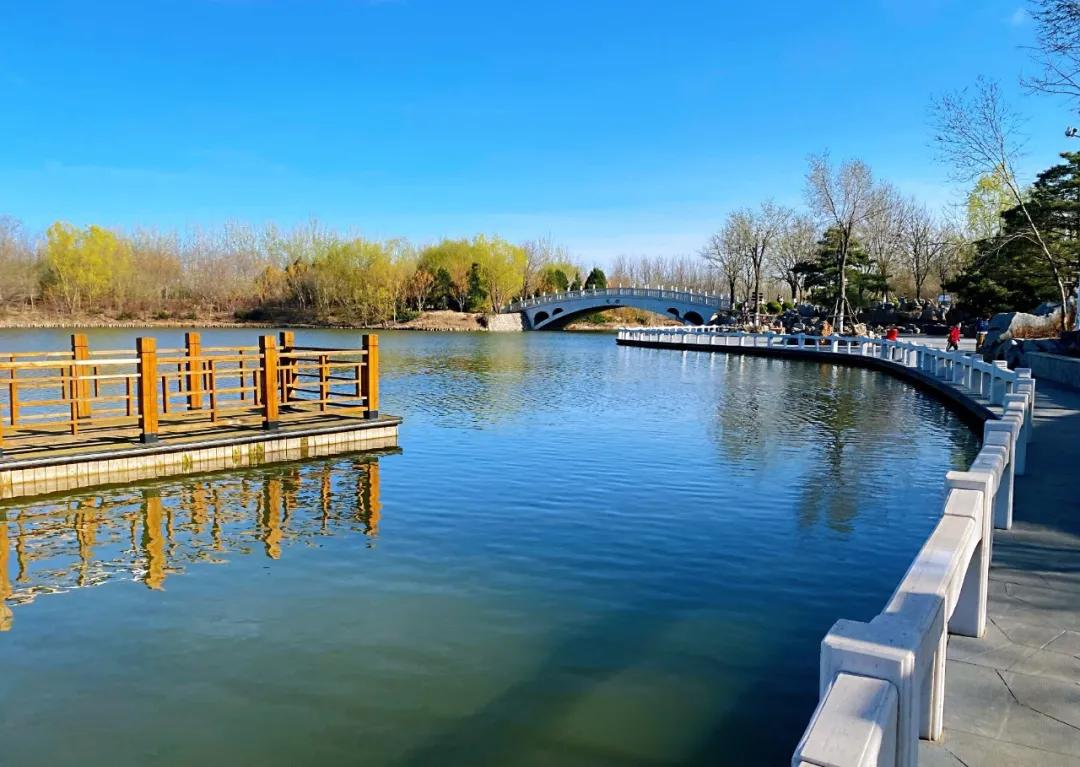 一个不出郑州的踏青好去处,天津春游公园推荐