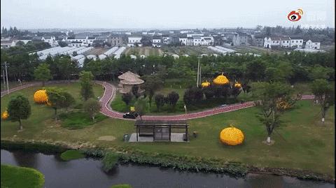 清华硕士造出全地形车,外国小伙DIY特斯拉越野车,谁更硬核?