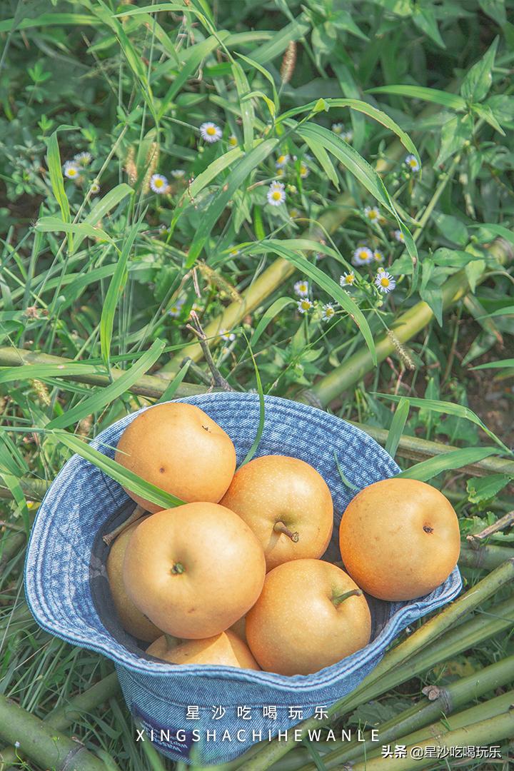 长沙小水果之乡,湖南长沙宝藏打卡地