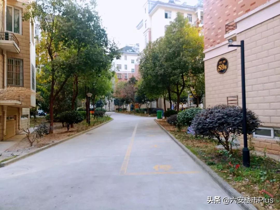 太励志！六安这些小区更换新物业之后！彻底改变命运