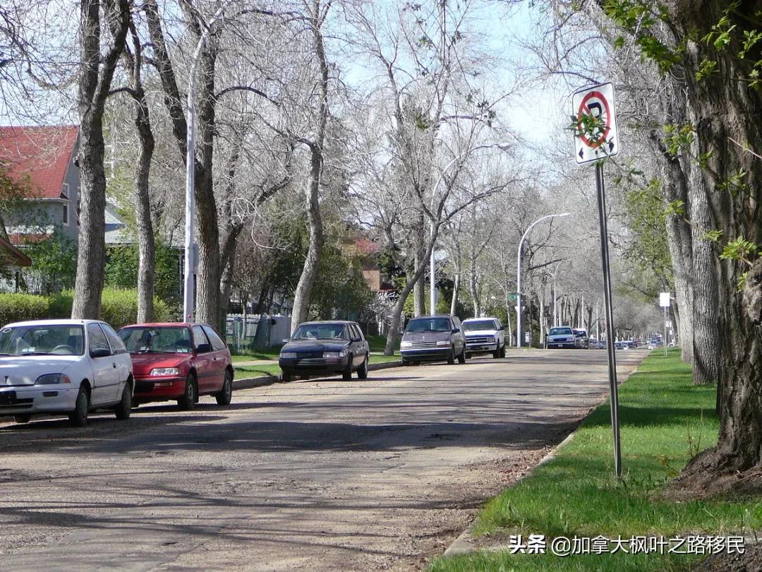 留学加拿大的真实感悟,留学生活加拿大