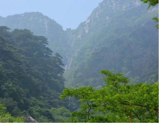 一起爬山吗我帮你拍照什么梗,一起去爬山我来拍照的图片