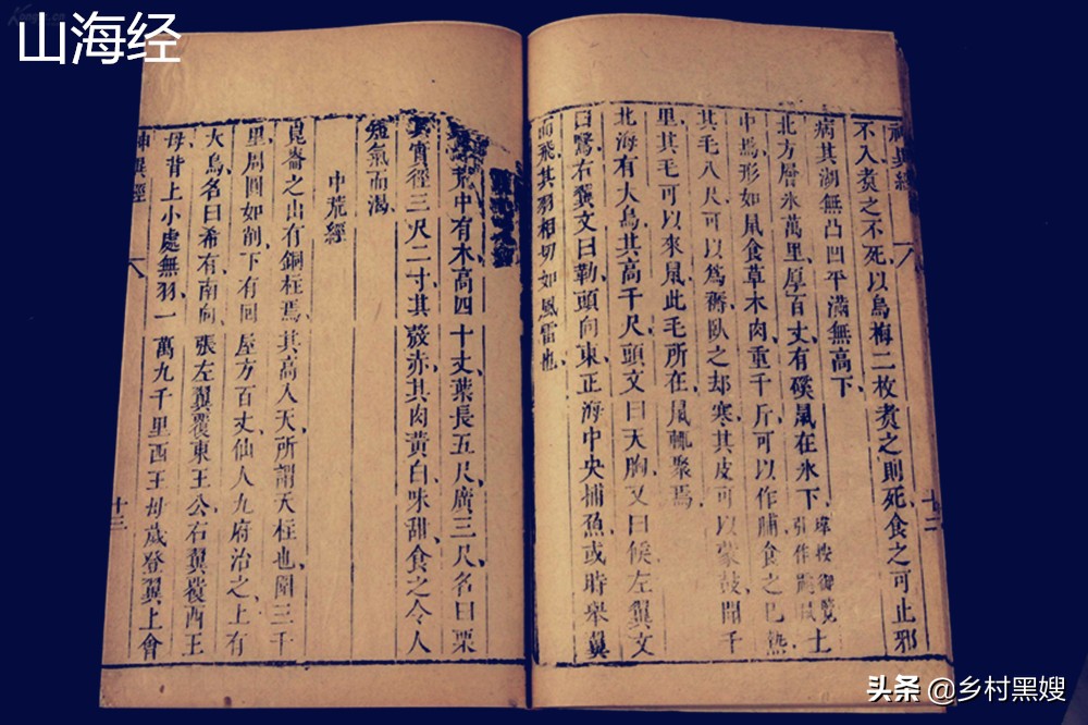 梨是从哪里来的,梨是怎么长出来的视频