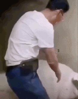 搞笑动图gif微信表情包2019,搞笑动图gif图片合集