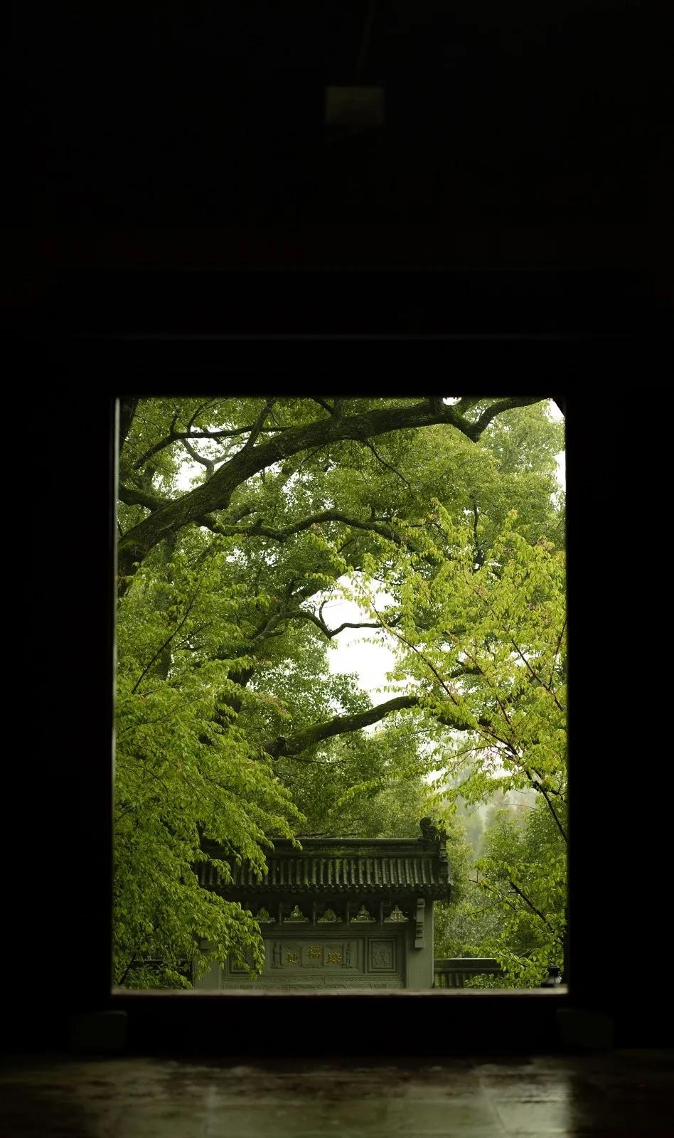 晨昏暮色正苏醒，这是我爱的舟山