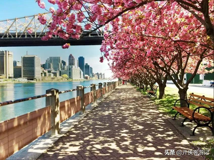 80个冷知识视频讲解大全,100个奇葩旅行冷知识