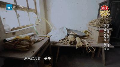 那些年岳云鹏唱火的歌,岳云鹏成名背后的辛酸之路