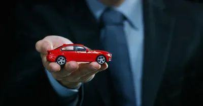 增值税最新政策内容解读,增值税下调会是4月1号吗